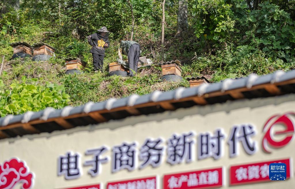 巴黎人直营电玩